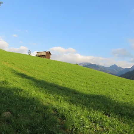 Pension Muehlbachhof アルプバッハ エクステリア 写真