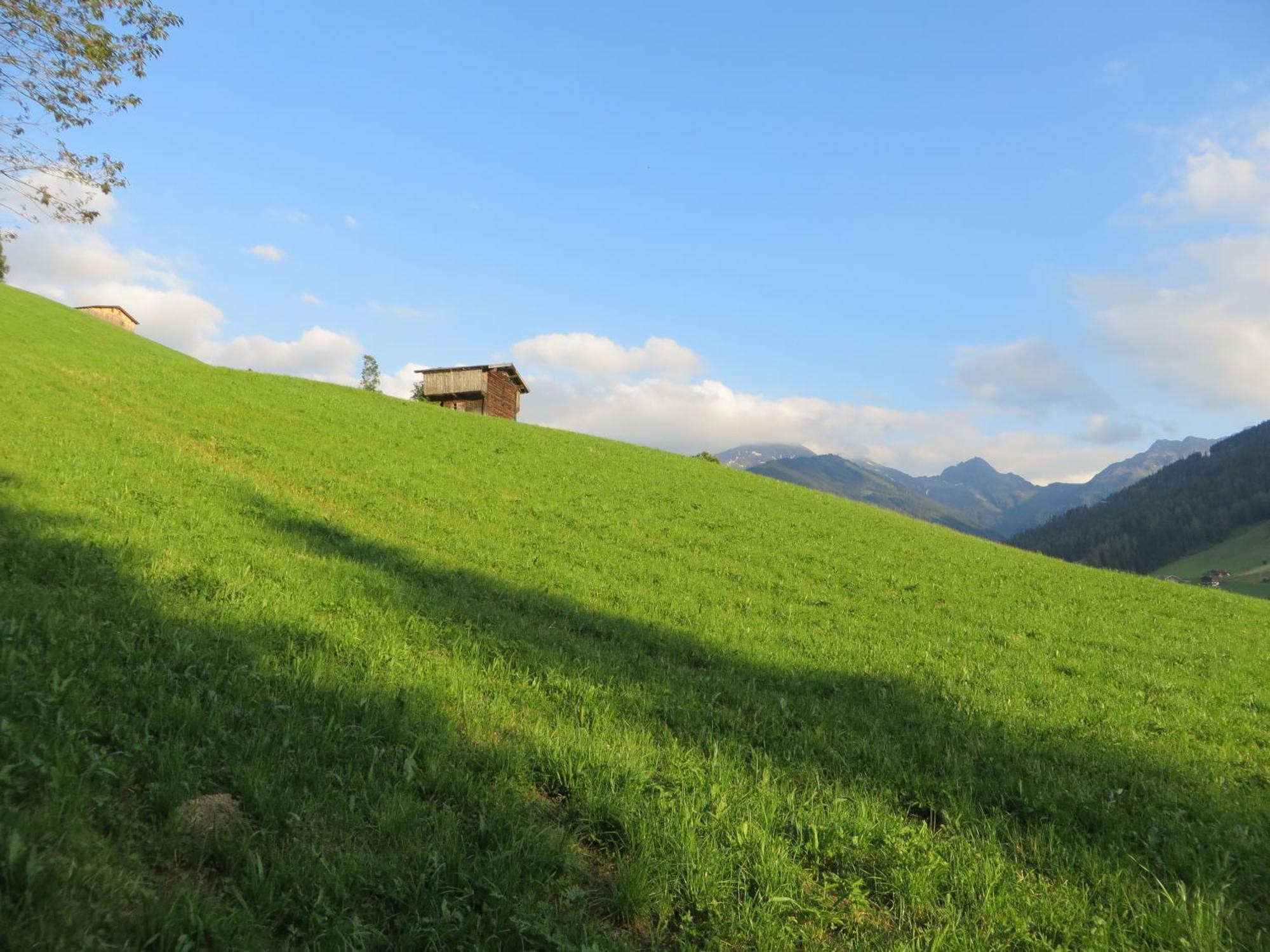 Pension Muehlbachhof アルプバッハ エクステリア 写真