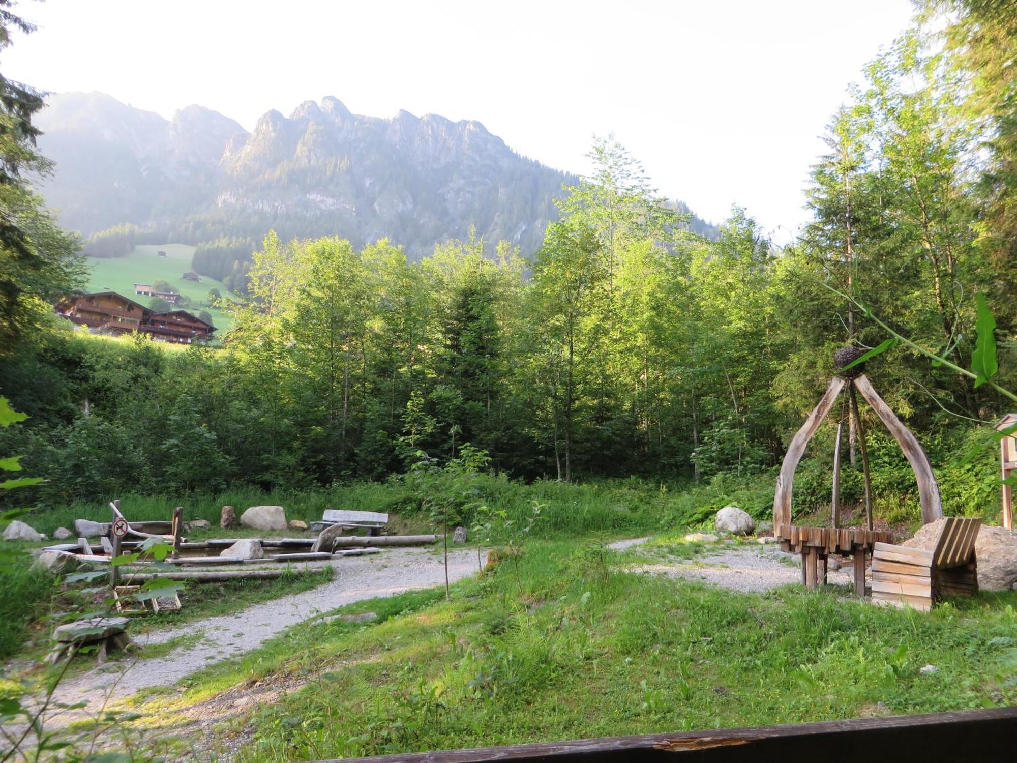 Pension Muehlbachhof アルプバッハ エクステリア 写真